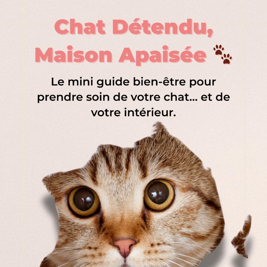 eBook My-Sérénicat - Le guide pour prendre soin de votre chat !